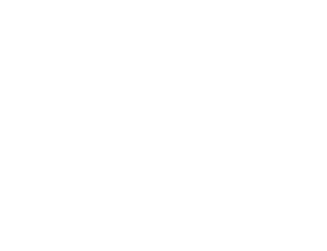 HR excellence in research