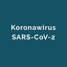 Koronawirus