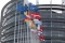 Studenci Uniwersytetu Gdańskiego w Parlamencie Europejskim