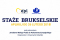 Staże Brukselskie