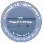 Zauważyłeś Morświana - Powiadom Stację Morską UG w Helu: tel +48 601 88 99 40