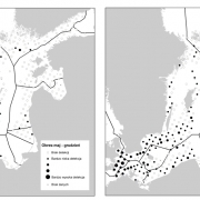 Mapa występowania morświnów w Bałtyku