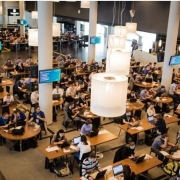 Sukces absolwenta informatyki ekonomicznej z wydziału Zarządzania UG