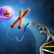 DNA