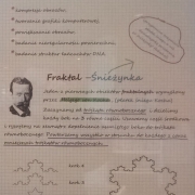 O fraktalach
