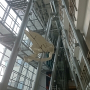 Finwal 4