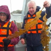 Spotkanie partnerów Projektu Błękitna Biotechnologia Sieci ALLIANCE 5