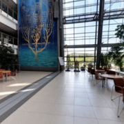 HISTORYCZNE DRZEWO ŻYCIA - MURAL