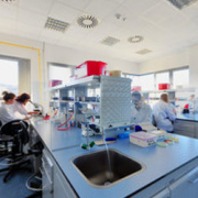 LABORATORIUM MIKROBIOLOGICZNE