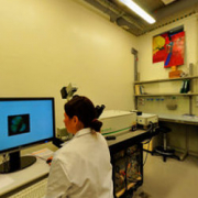 LABORATORIUM Z MIKROSKOPEM FLUORESCENCYJNYM