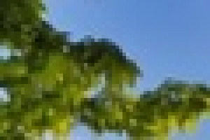 Waloryzacja i zarządzanie zasobami przyrody