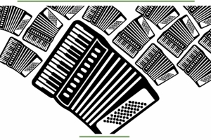 Wariacji akordeonowych vol. 2