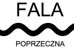 fala poprzeczna