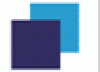 Logo Koła Naukowego Finansów Międzynarodowych 